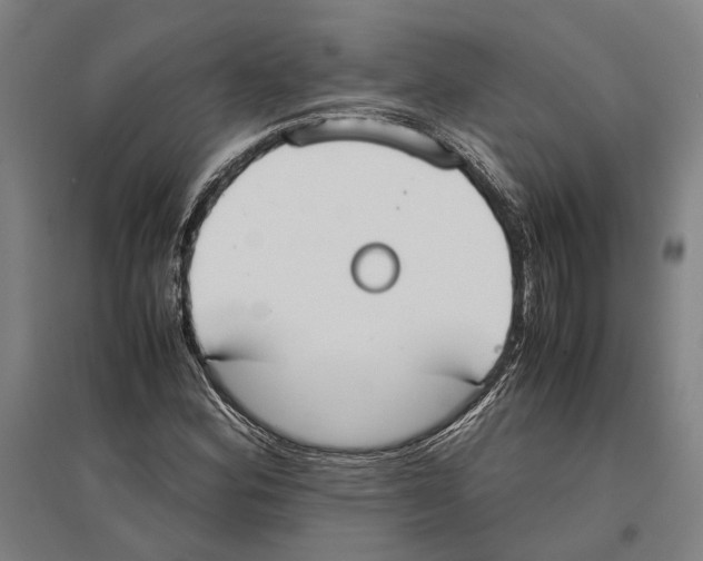 X0000096651164200803041143