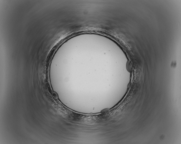 X0000096651165200803041143