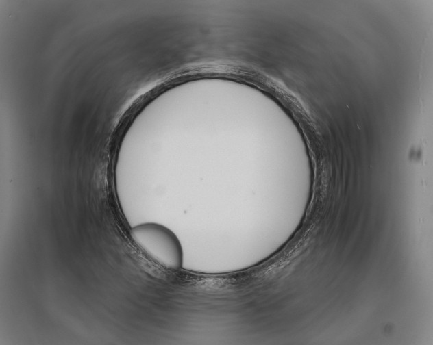 X0000096651166200803041143