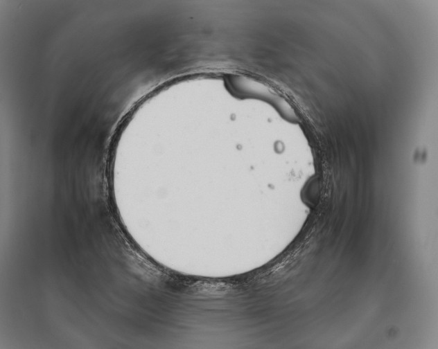 X0000096651168200803041143