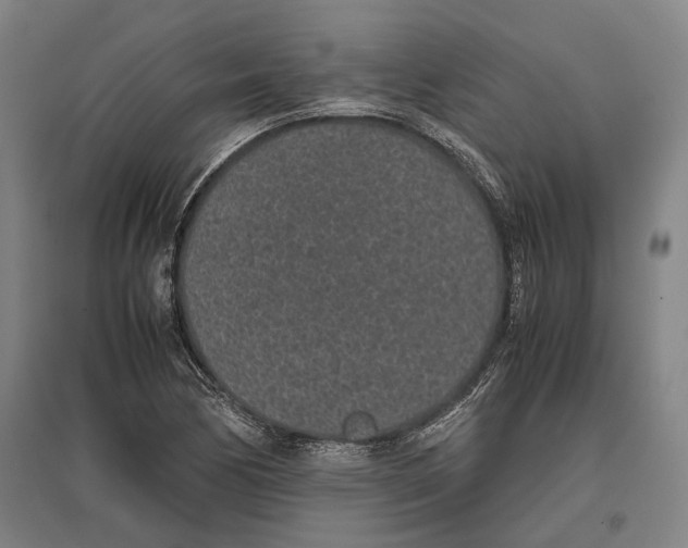 X0000096651170200803041143