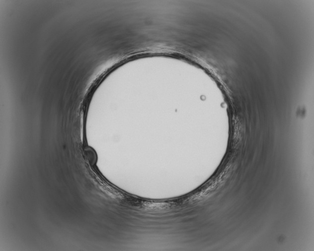 X0000096651171200803041143