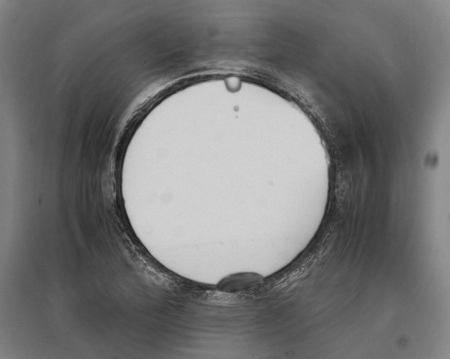 X0000096651172200803041143