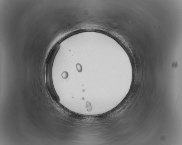 X0000096651175200803041143