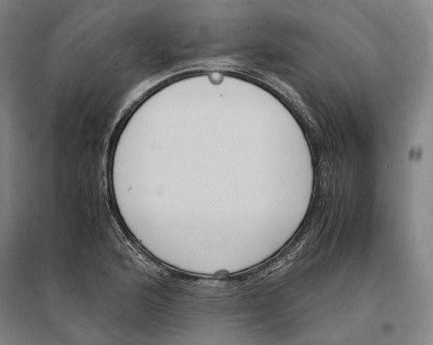 X0000096651176200803041143