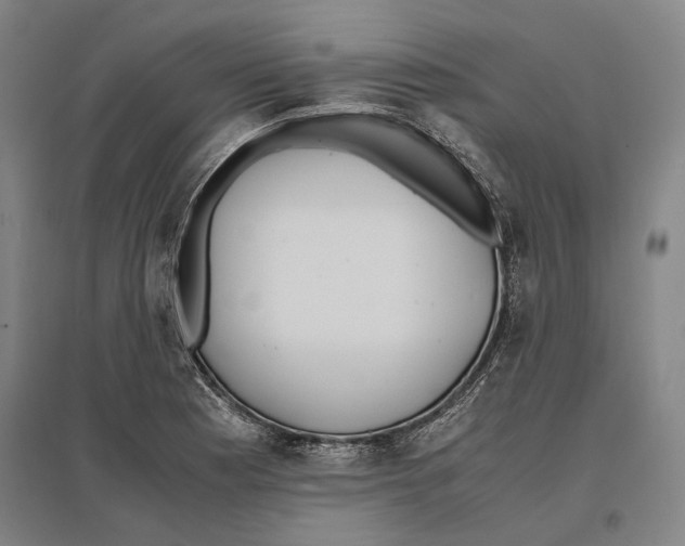 X0000096651177200803041143