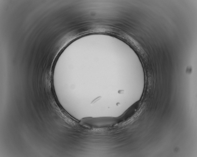 X0000096651178200803041143