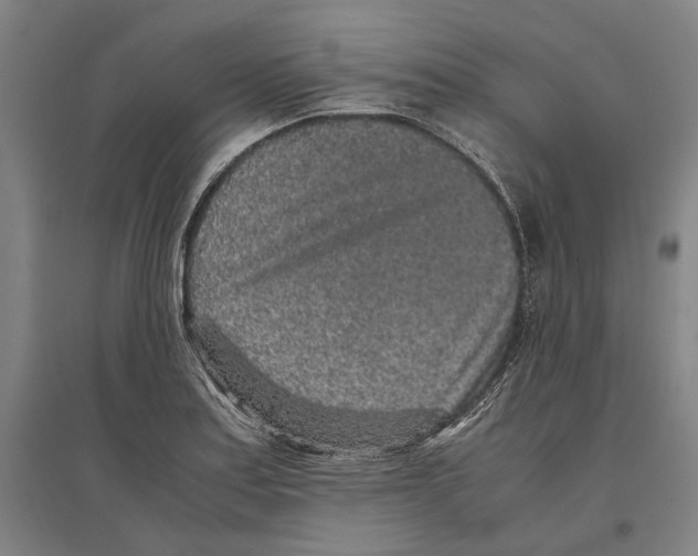 X0000096651179200803041143