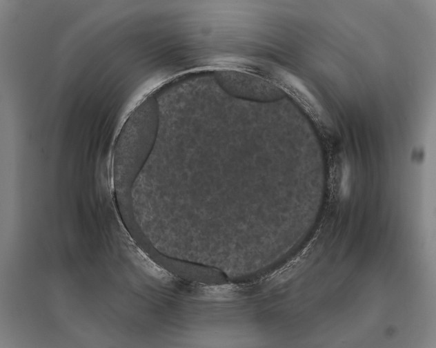 X0000096651180200803041143