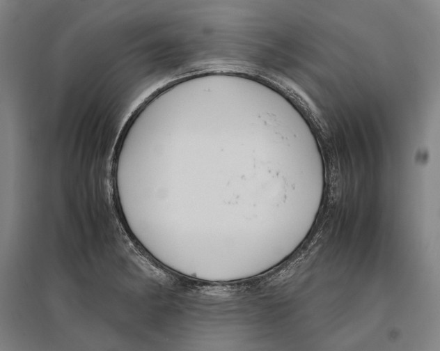 X0000096651182200803041143