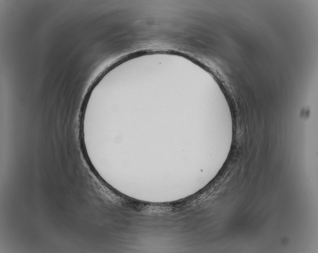 X0000096651183200803041143