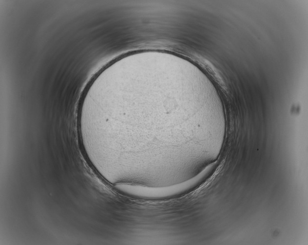 X0000096651184200803041143