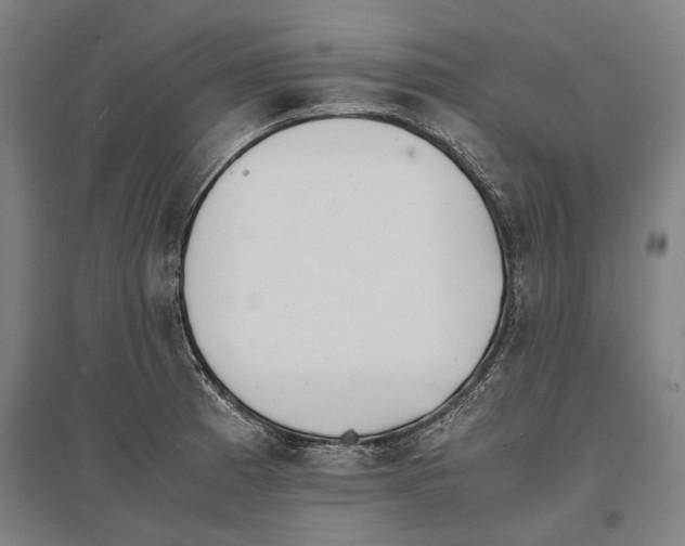 X0000096651185200803041143