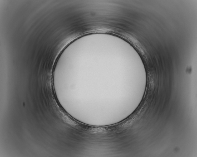 X0000096651186200803041143