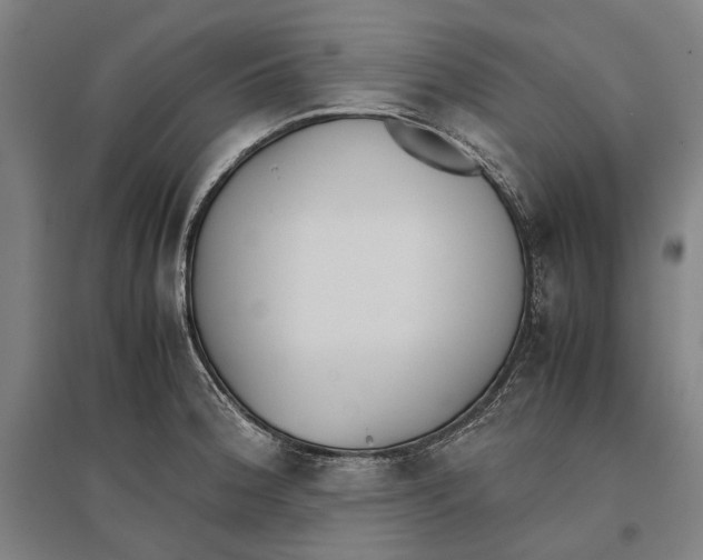 X0000096651188200803041143