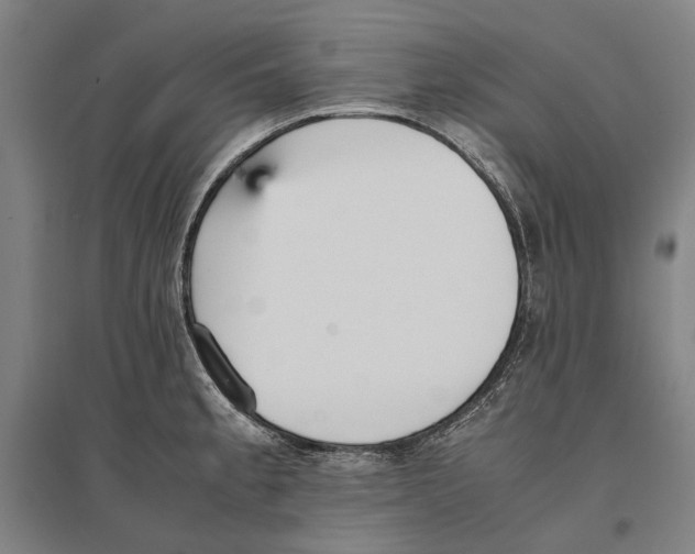 X0000096651189200803041142