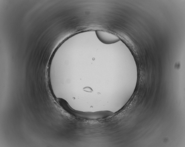 X0000096651190200803041142