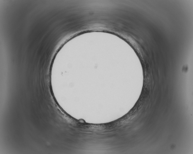 X0000096651191200803041142