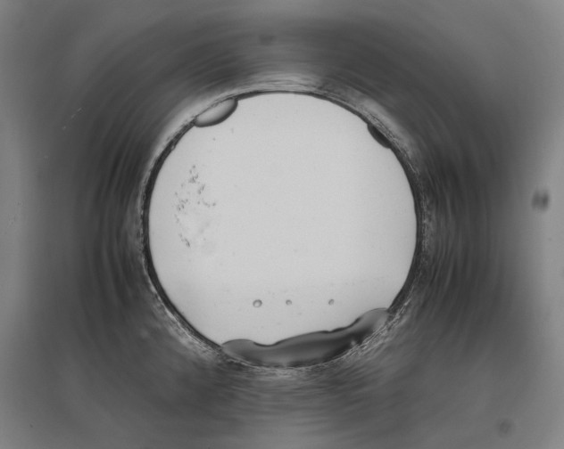 X0000096651192200803041142