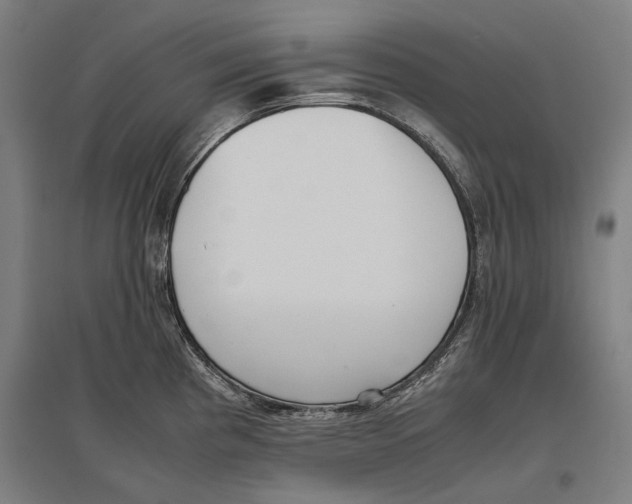 X0000096651193200803041142