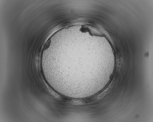 X0000096651194200803041142