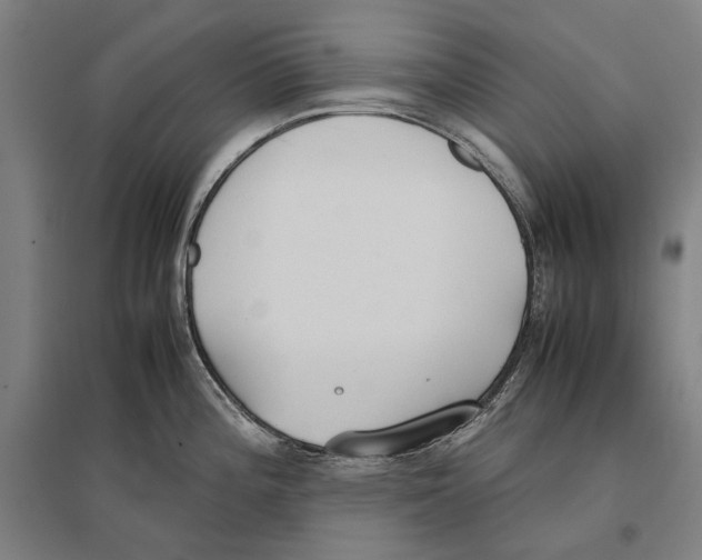 X0000096651196200803041142