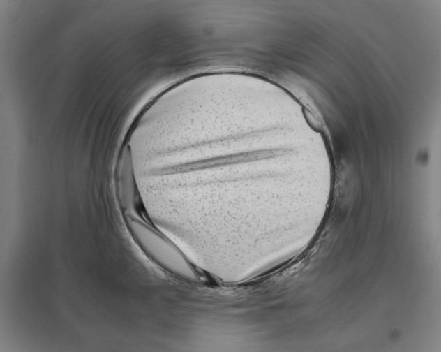 X0000096651197200803041142