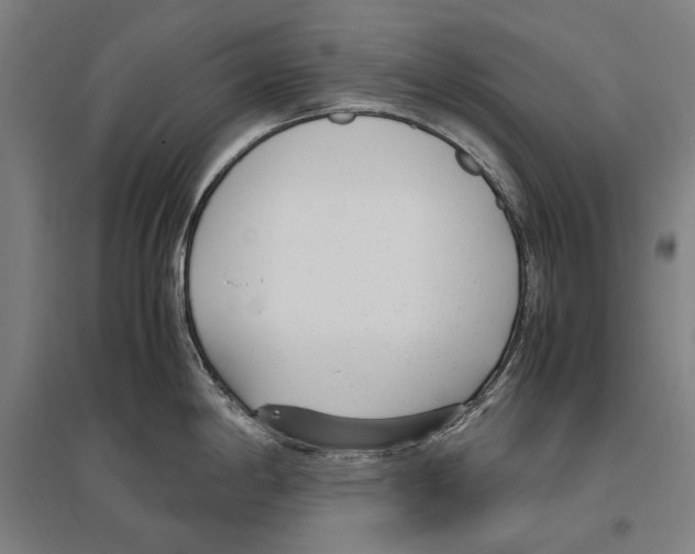 X0000096651198200803041142