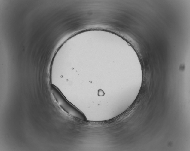 X0000096651199200803041142