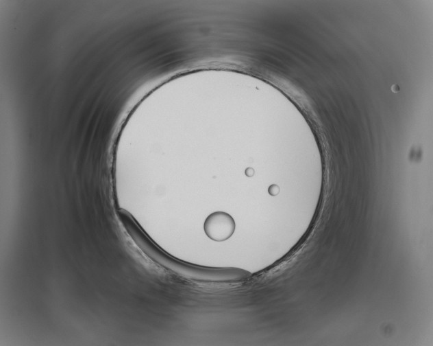 X0000096651200200803041142