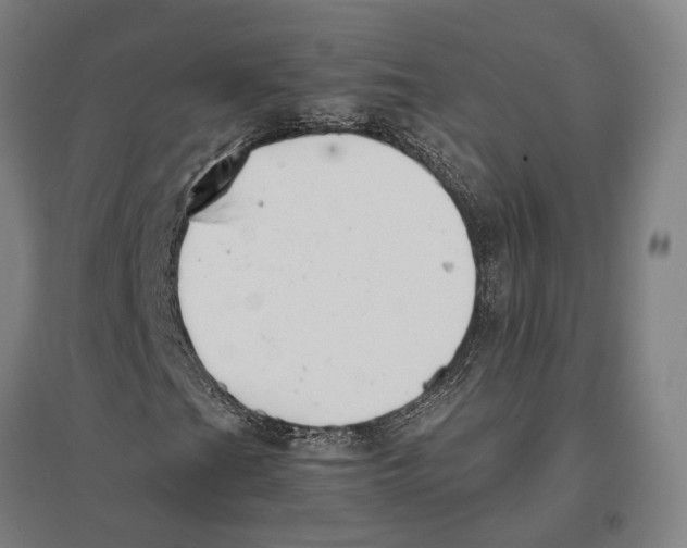 X0000096651201200803041142