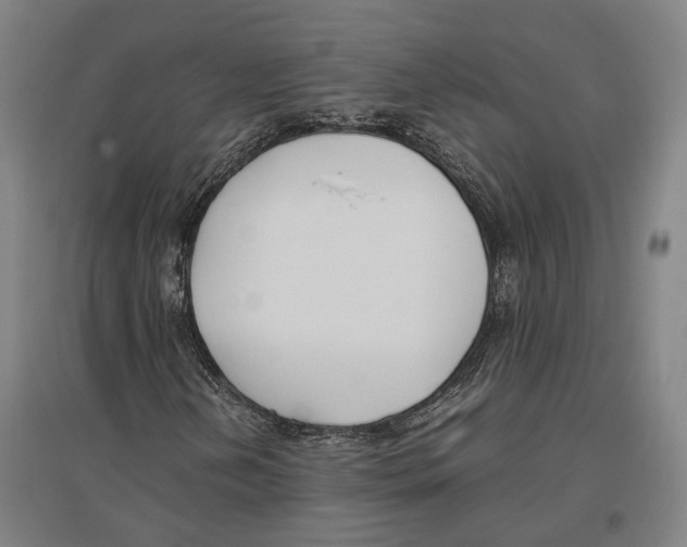 X0000096651202200803041142