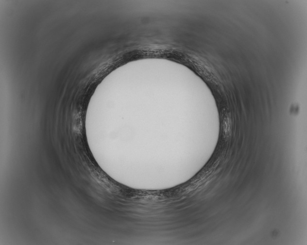 X0000096651204200803041142