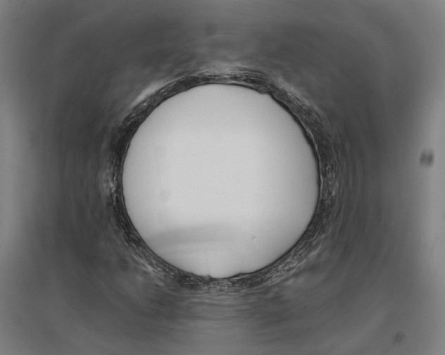 X0000096651206200803041142