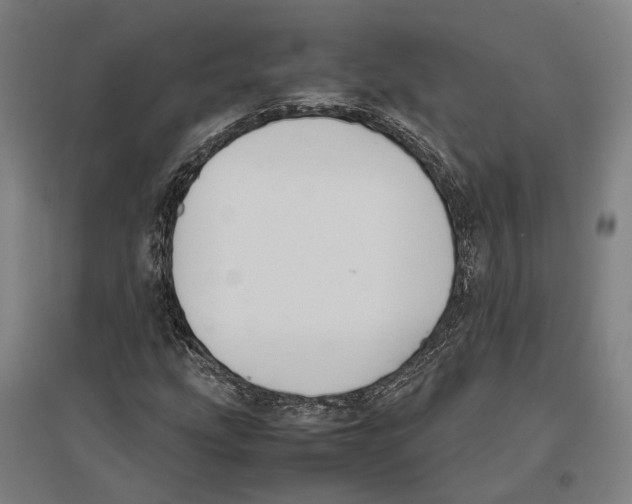 X0000096651207200803041142