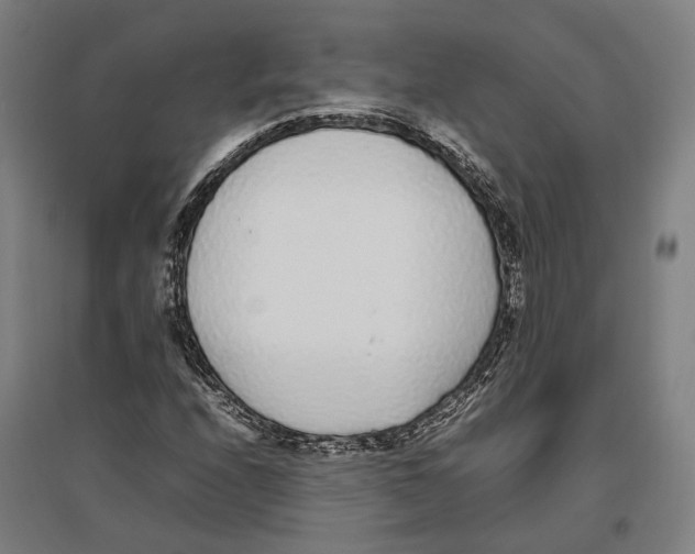 X0000096651208200803041142