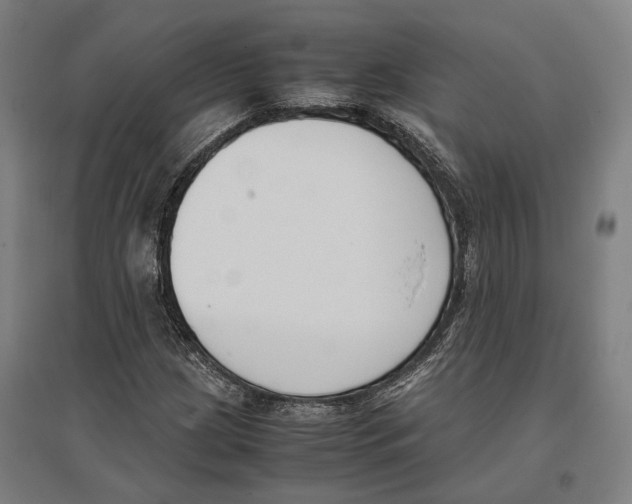 X0000096651209200803041142