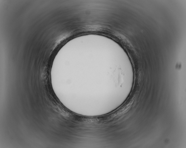 X0000096651210200803041142