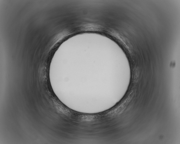 X0000096651211200803041142