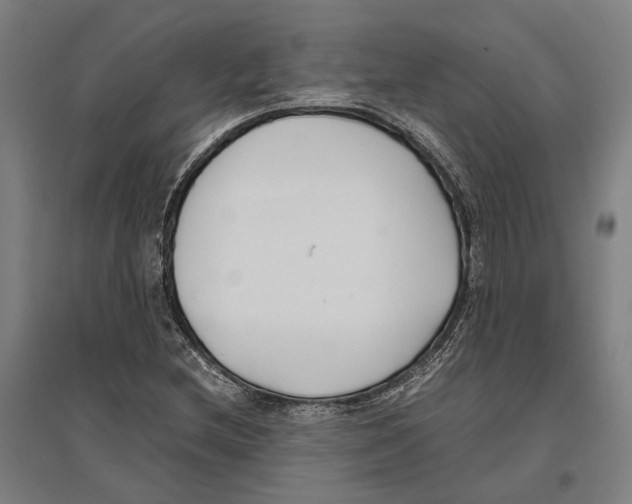 X0000096651212200803041142