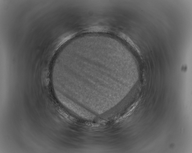 X0000096651213200803041142