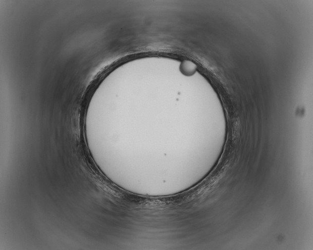 X0000096651214200803041142