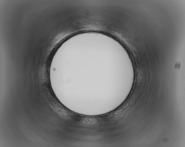 X0000096651215200803041142