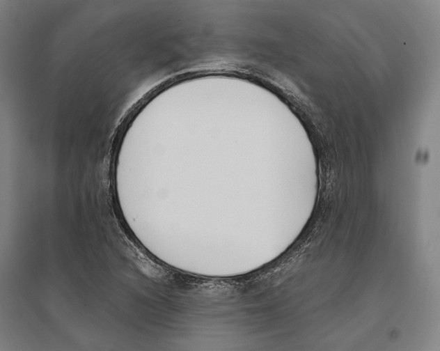 X0000096651216200803041142