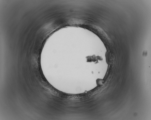 X0000096651217200803041142