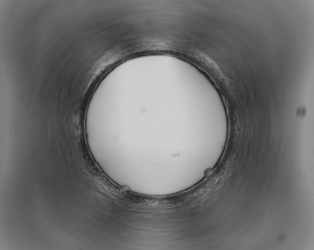 X0000096651218200803041142