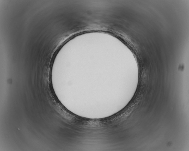 X0000096651220200803041142