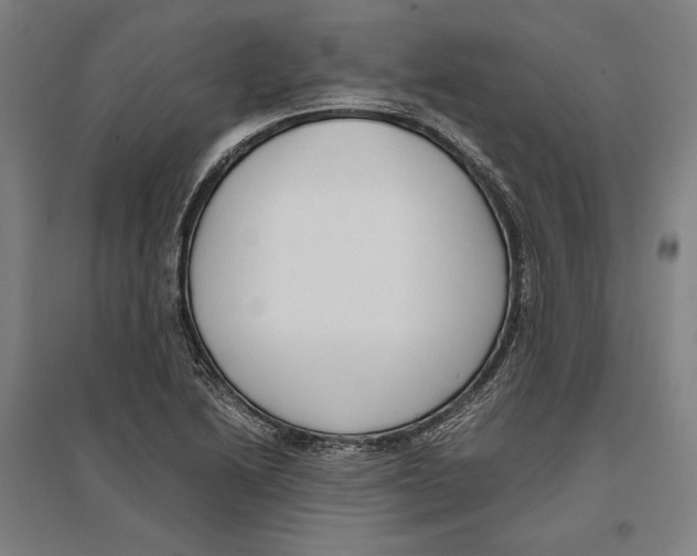 X0000096651222200803041142