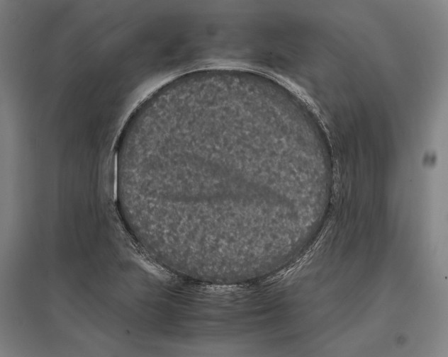 X0000096651223200803041142