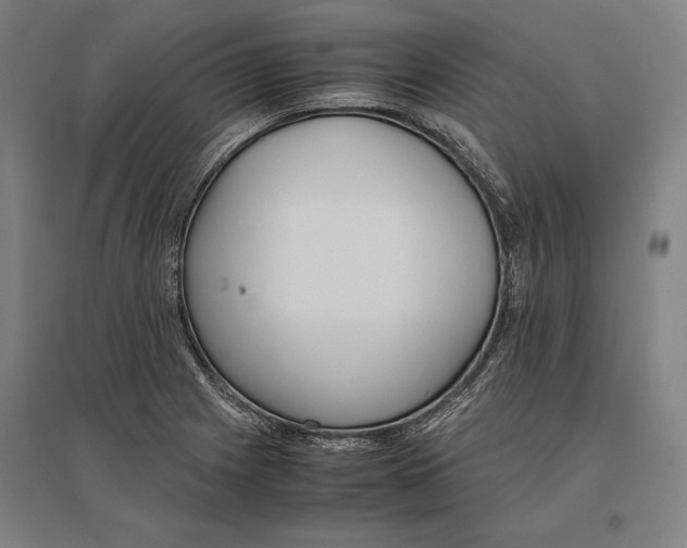 X0000096651225200803041142